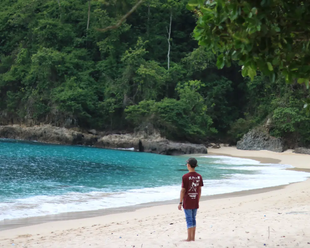 teluk hijau