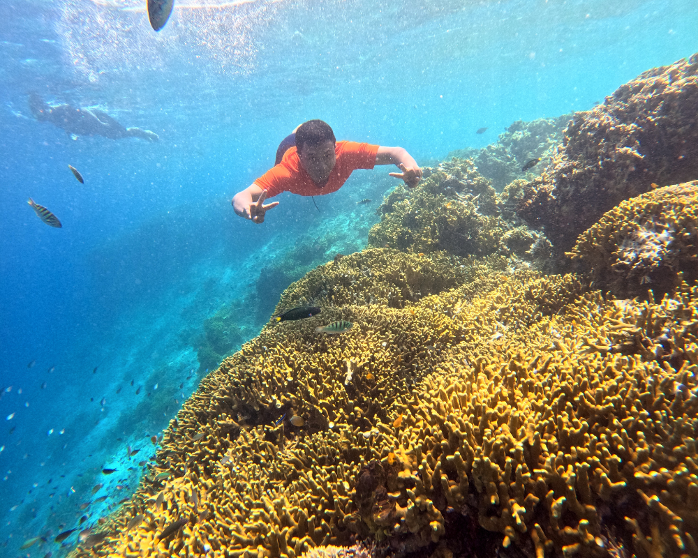Aktivitas snorkeling di Pulau Menjangan