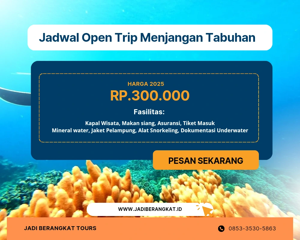 jadwal open trip menjangan tabuhan rutin