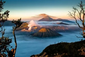 tips bromo