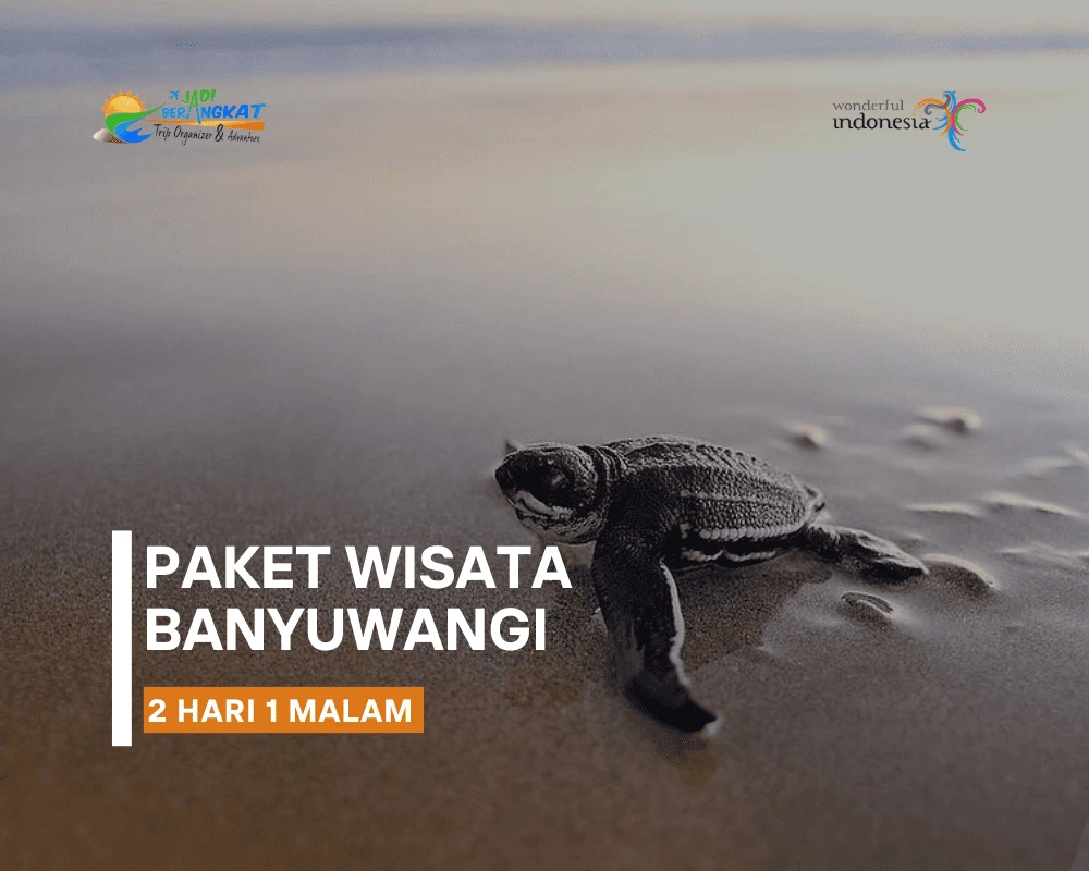 paket wisata banyuwangi 2 hari 1 malam