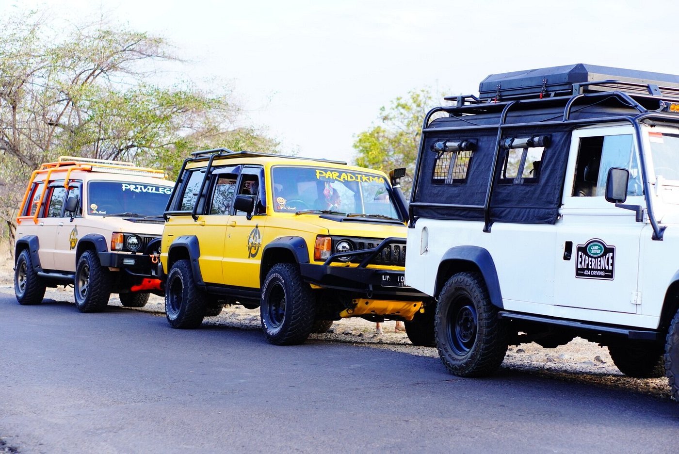 sewa jeep banyuwangi, sewa jeep baluran, jeep trooper baluran, baluran jeep experience