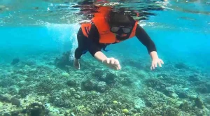 bangsring-underwater