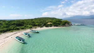 menjangan tabuhan island
