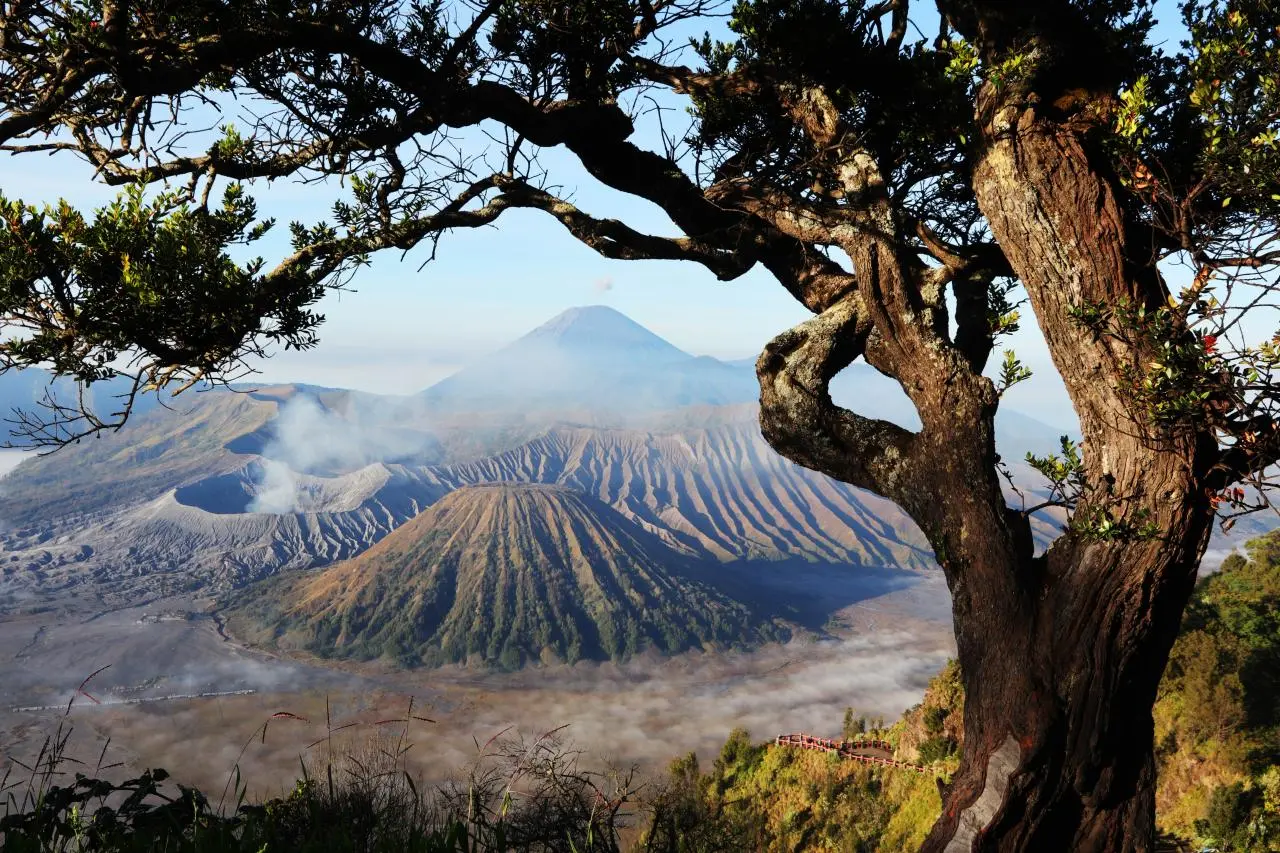 paket wisata malang bromo