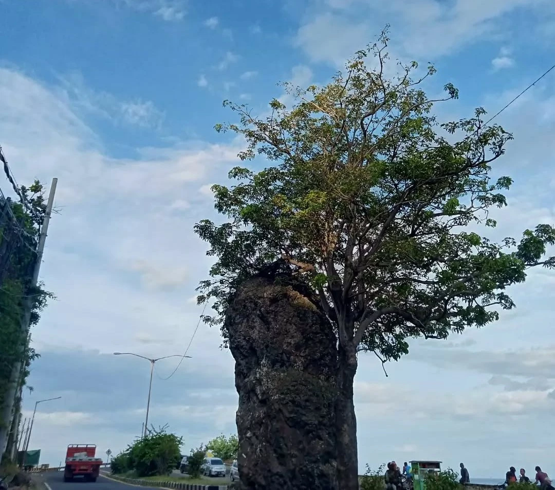 Watu Dodol Beach