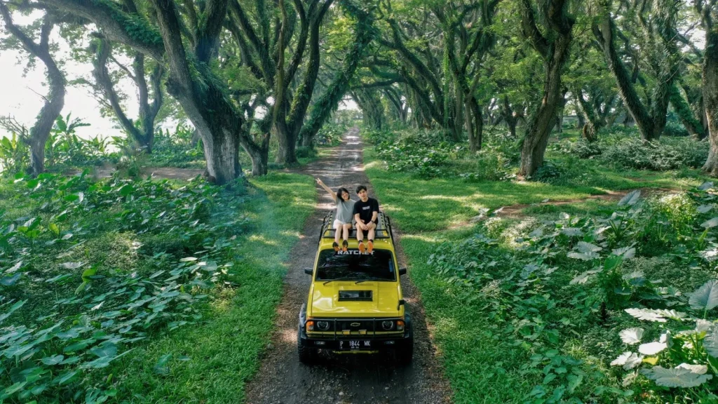 Rekomendasi Safari Jeep di Banyuwangi