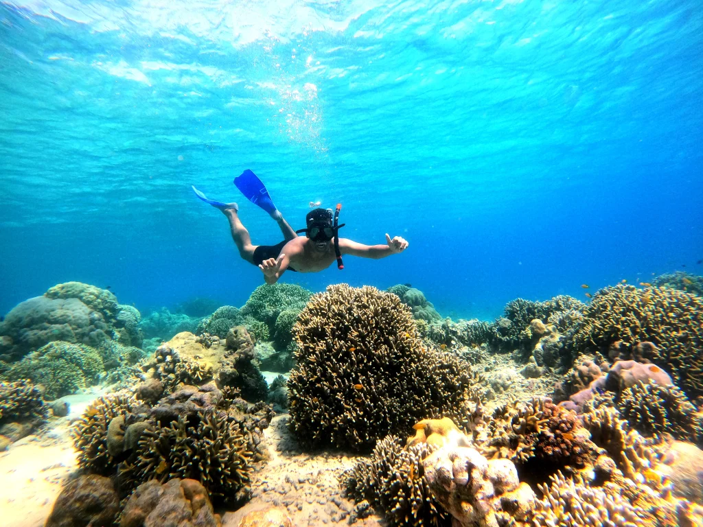 Tips & Trik Snorkeling Bagi Pemula yang aman