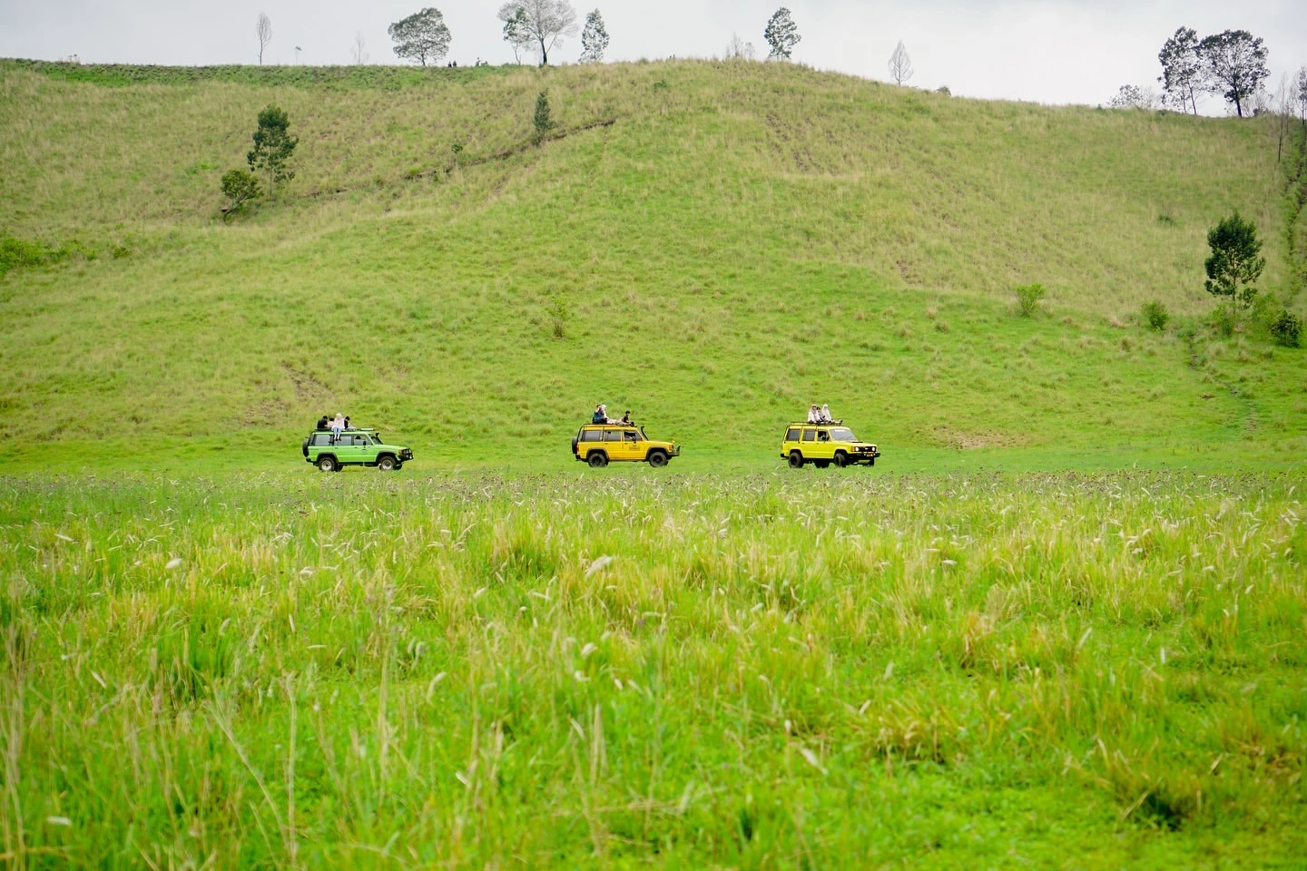 safari jeep kawah wurung
