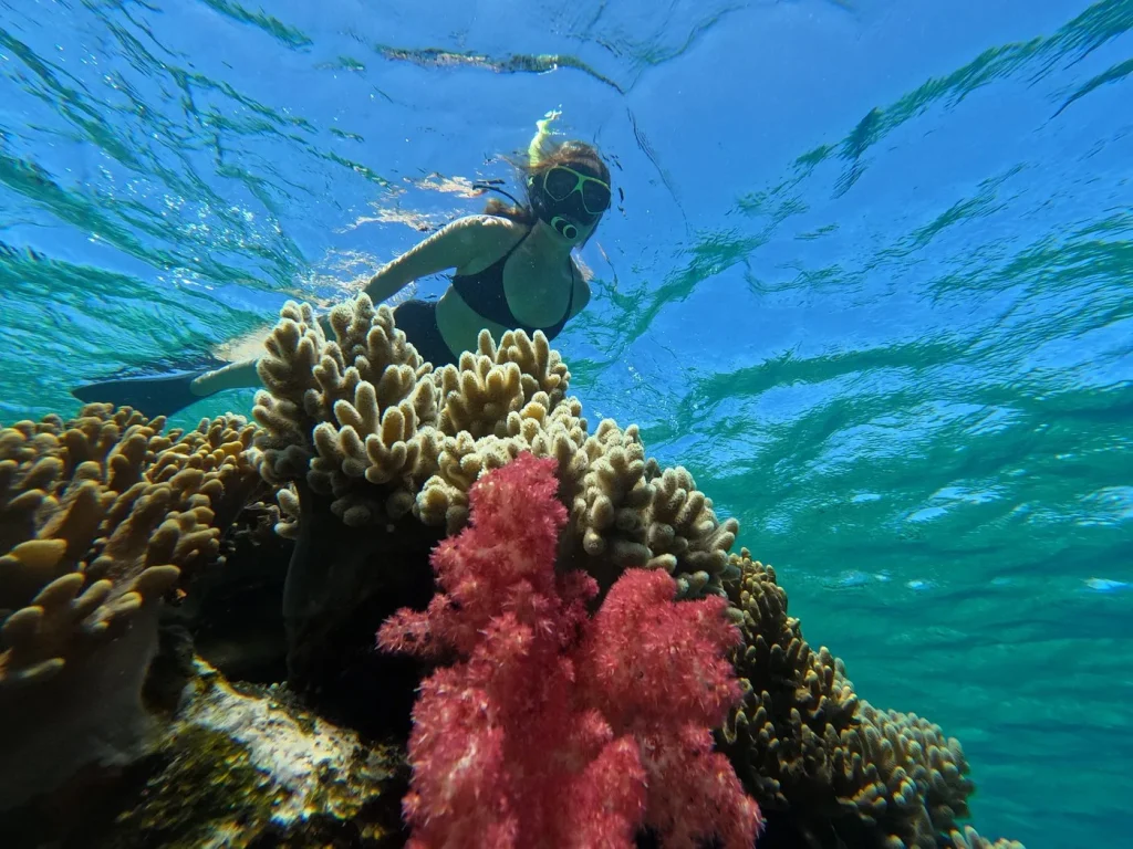 spot snorkeling 