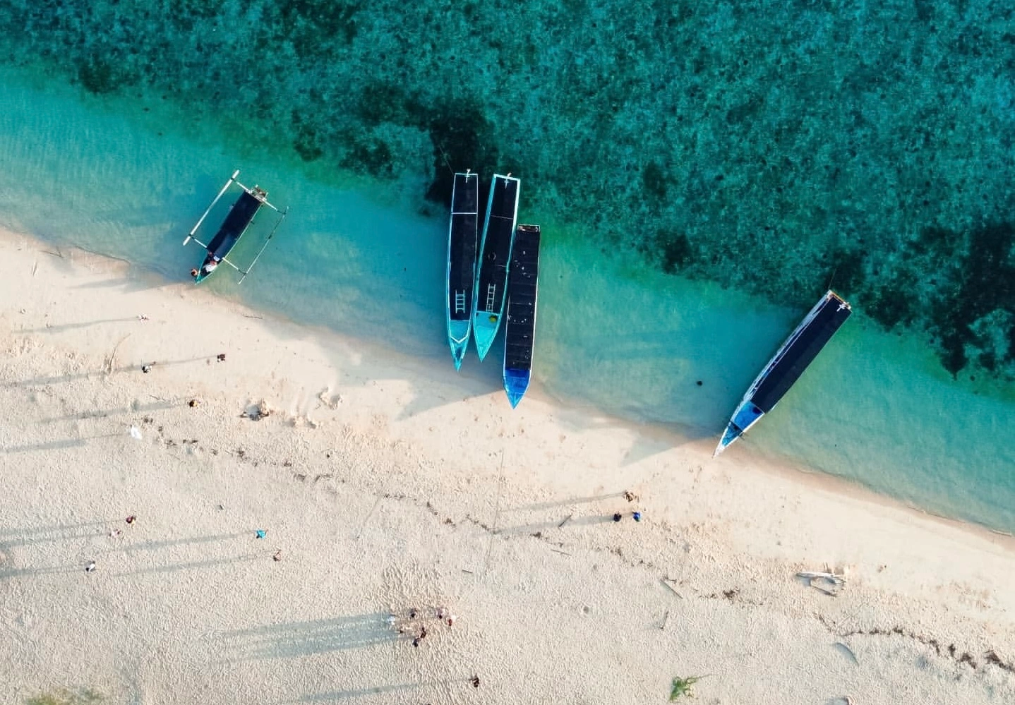 Menjangan & Tabuhan: Surga Snorkeling yang Wajib Masuk Bucket List!