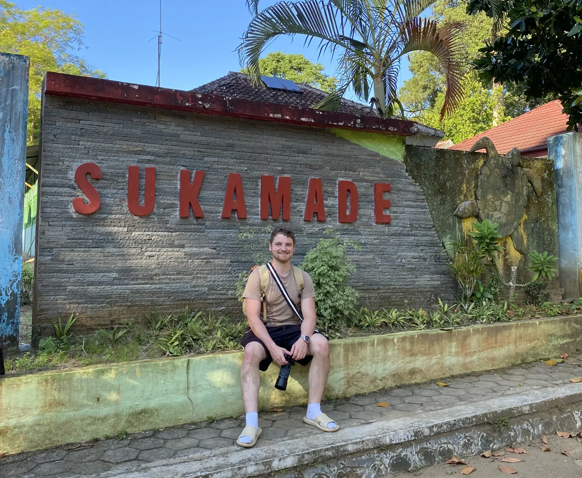 Wisata Pantai Sukamade, Surganya Penyu Bertelur