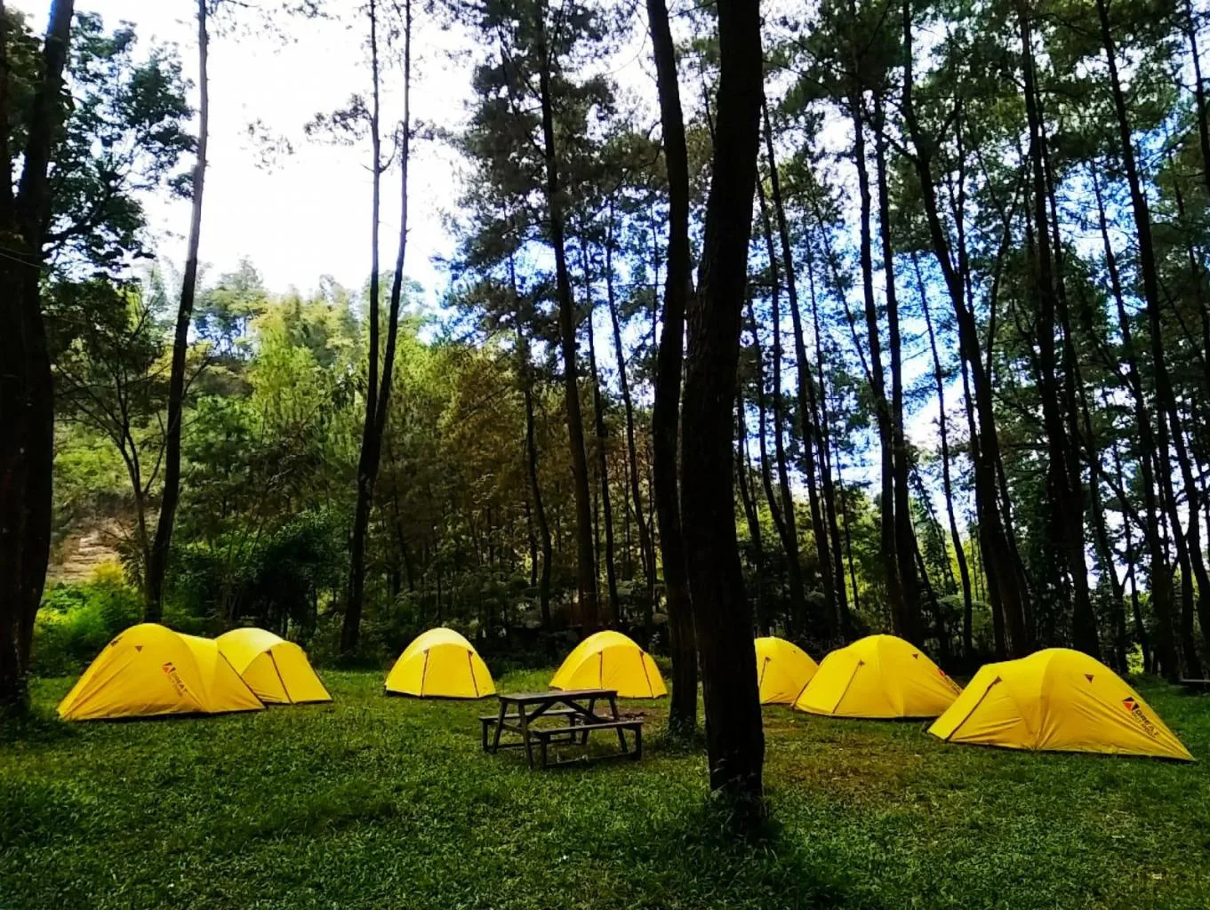 desa wisata poncokusumo