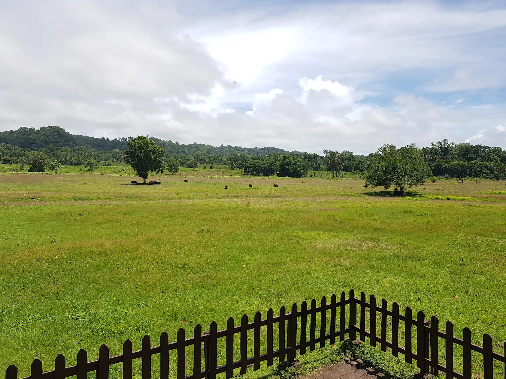 Savana sadengan alas purwo