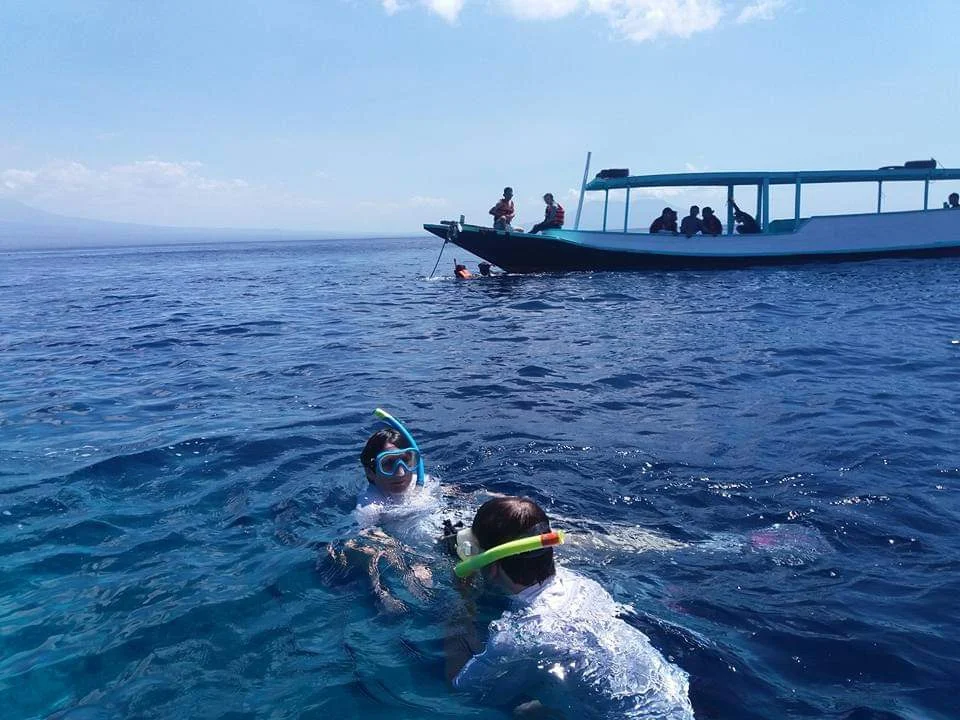 snorkeling menjangan