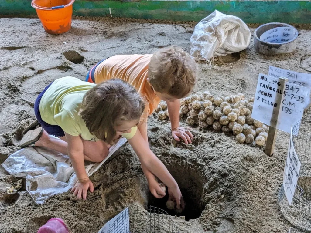 Jadi Berangkat Menjelajah Pantai Sukamade dalam 2 Hari 1 Malam