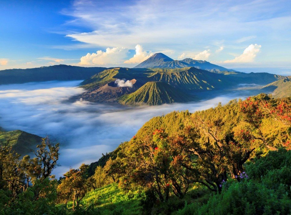 mount bromo, open trip bromo start malang