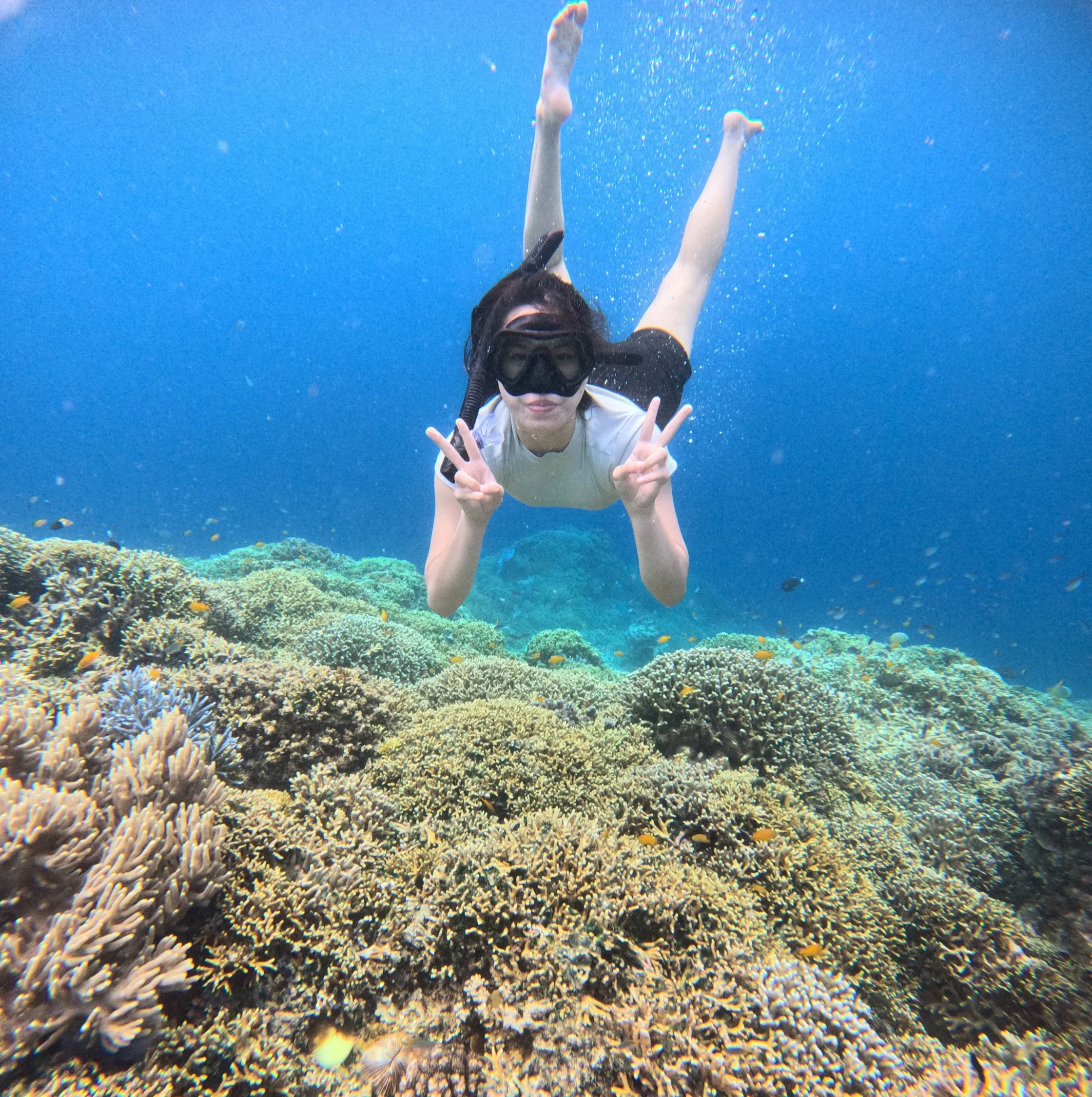 pulau menjangan vs pulau tabuhan